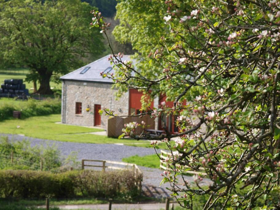 Peregrine Stable Cottage Llandovery Exterior foto